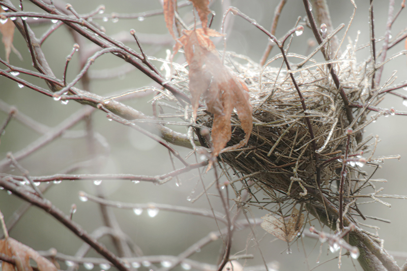 Empty Nest 2 Empty Nest 2