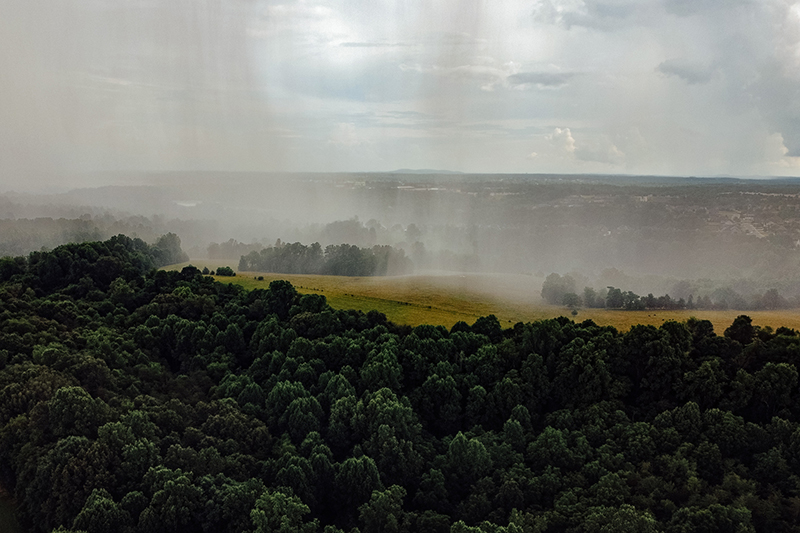 The Approach The Approach