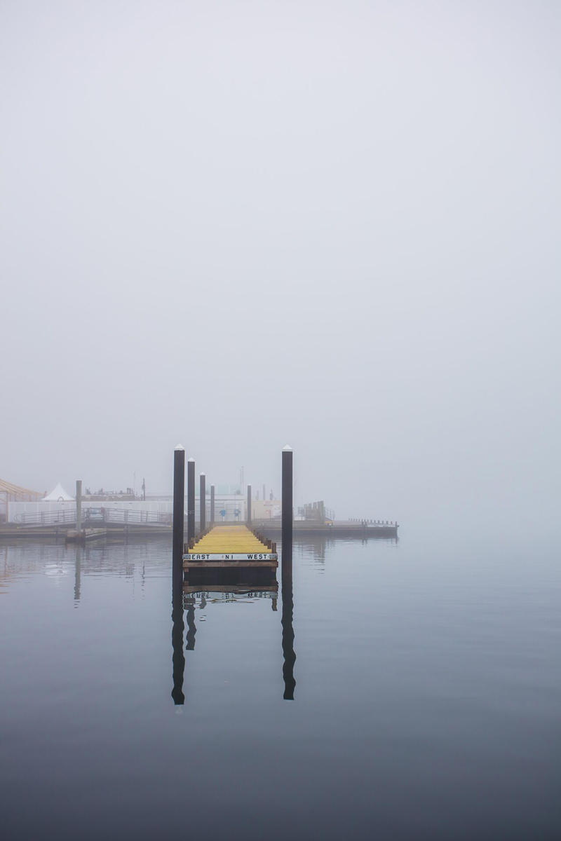 Mellow Yellow Mellow Yellow