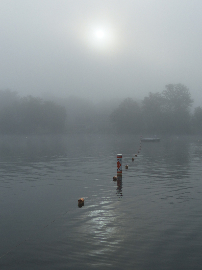 Foggy Morn Foggy Morn