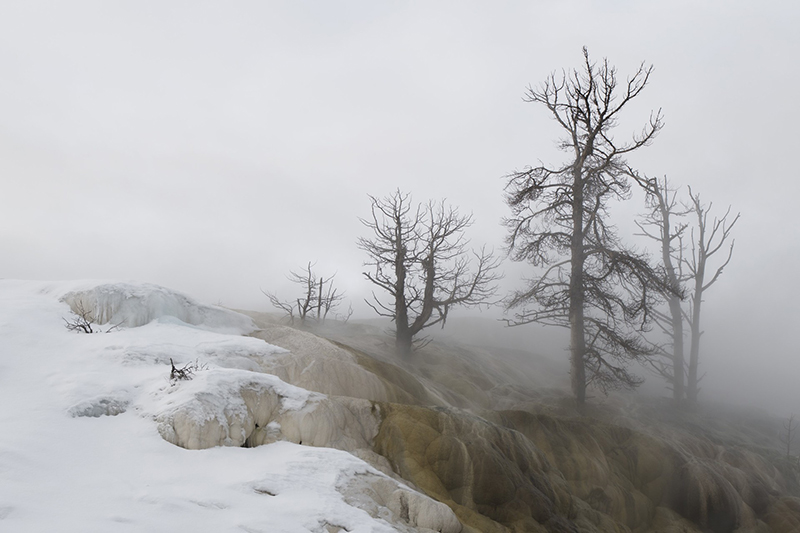 Landscape no. 27 Landscape no. 27