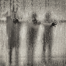 The Three