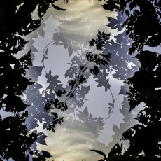 Navigating A Topsy Turvy World