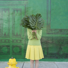 Yellow Hydrant