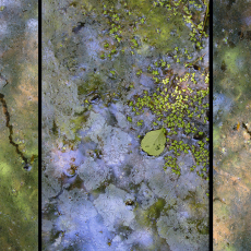 Water Tapestry Triptych: Armonioso