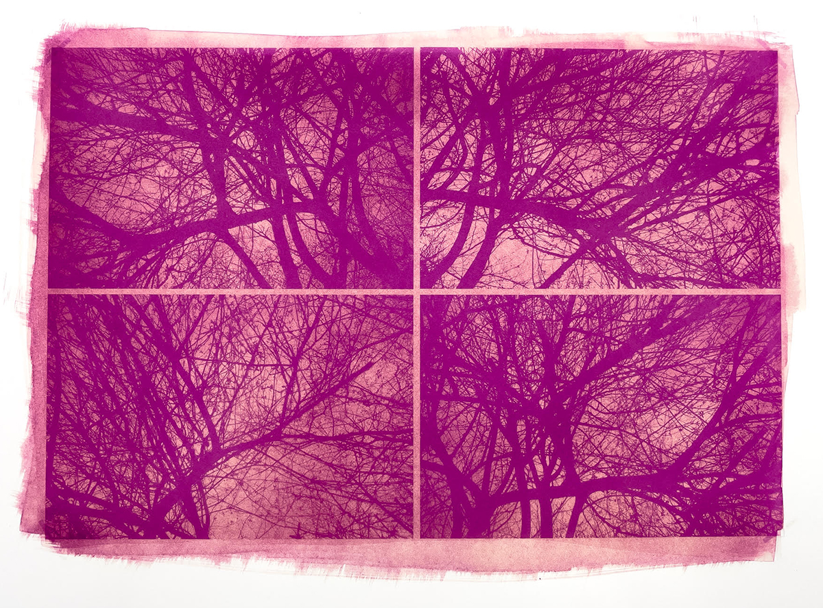 4 panel Anthotype (beets) by DW Witman