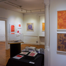 Anthotype-Intalled-02581