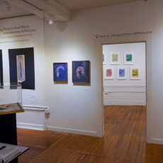 Anthotype-Intalled-02586