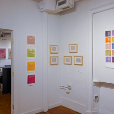 Anthotype-Intalled-02592