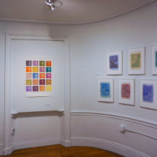 Anthotype-Intalled-02649