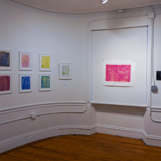 Anthotype-Intalled-02650