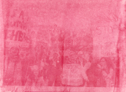 From the Yellow Rose Project