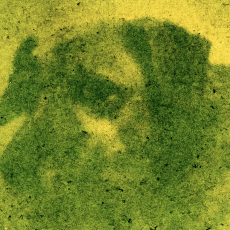 Still from Dog Headannimation by Edd Carr