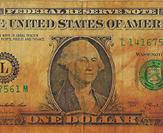 Tumeric PursuitProfit powerPlant