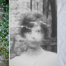 Vergissmeinnicht (Forget-me-not)