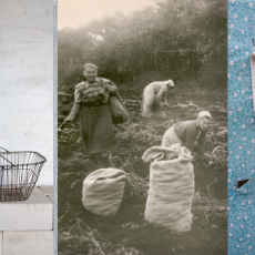 Kartoffelroden (Harvesting Potatoes)