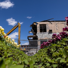 Industrial Bloom © by Kathryn Wallace