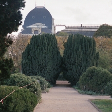COUMANS. THIS.IS.A.GOOD.KISSING.SPOT