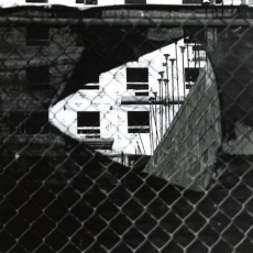 Kayla-Guajardo-e1616164554397