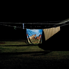 We'll Ride Them Someday by Gail Roussea, from The Laundry Series.