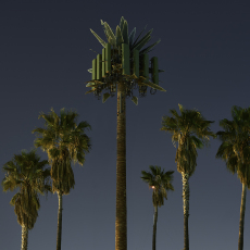 From the Second Nature series, Işık Kaya