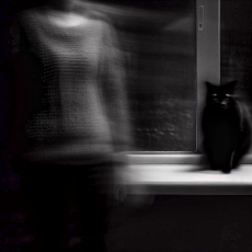 Black Cat