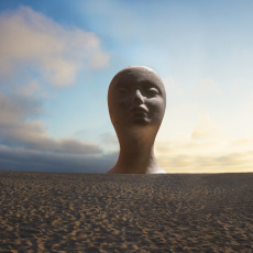 Study for a beach Instillation