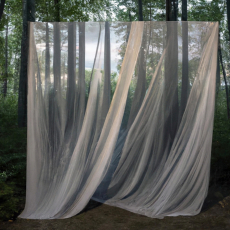 At the Edge of Vision I At the Edge of Vision I