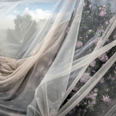 At the Edge of Vision III