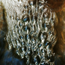 Brooke-Hammerle-Songs-of-Light-I_30x4522_1500_dye-sub-on-aluminum