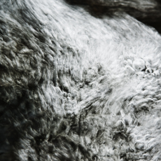 Brooke-Hammerle-SongsofLight-2_30x4522_1500_dye-sub-on-aluminum