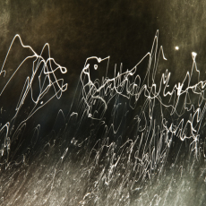 Brooke-Hammerle-Symphony-5_30x4522_1500_dye-sub-on-aluminum