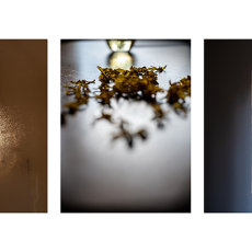 Golden Hours © by Emily Belz