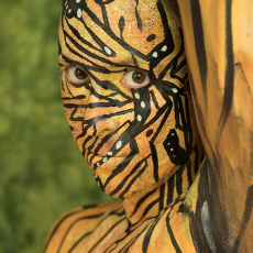 #28 (Monarch Butterfly)