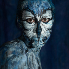 #29 (Blue Jay)