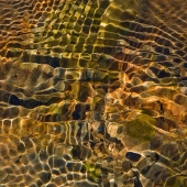Carrabassett Ripple
