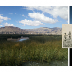 Claudia_Ruiz_Gustafson_09