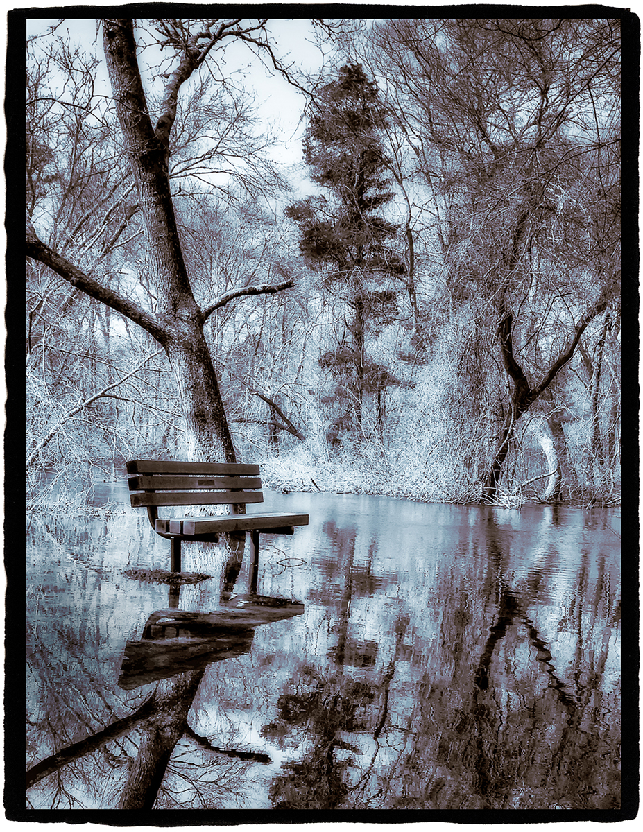 The Bench- Duotone over Silver