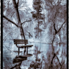The Bench- Duotone over Silver