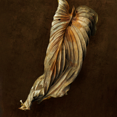 Farewell© by Deb Ehrens