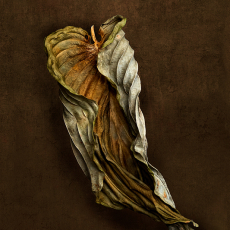 I hold You In My Heart © by Deb Ehrens