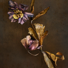 Remember When © by Deb Ehrens