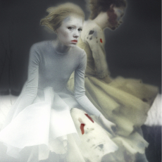 Cake 7 © by Diana Nicholette Jeon