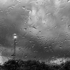 Resilence © by Diane Collins