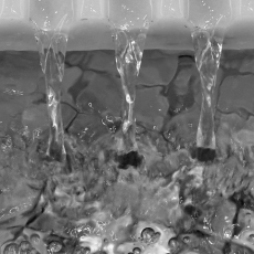 Rhythm © by Diane Collins