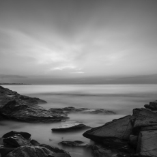 Solitude © by Diane Collins