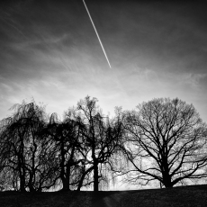 Rockwood, Sleepy Hollow, NY
