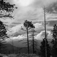 Bryce Canyon, Utah, Donald P. Johnson