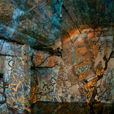 El Sotano - THe Basement © by Estelle Disch