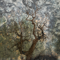 Esperanza - Hope © by Estelle Disch